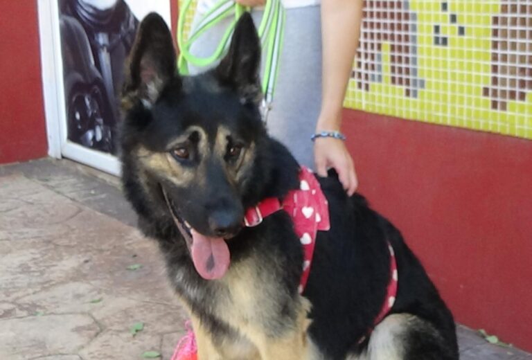 multimedia-foto73704-393-1