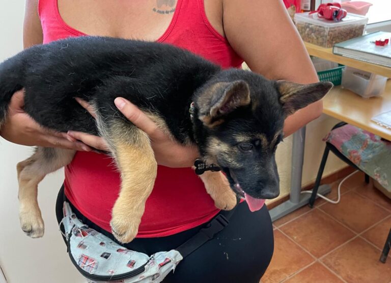 multimedia-foto73707-63-1