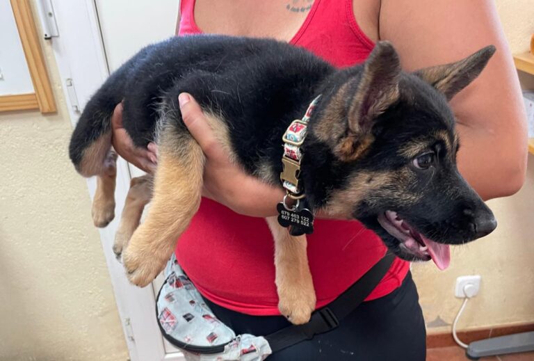 multimedia-foto73708-63-1