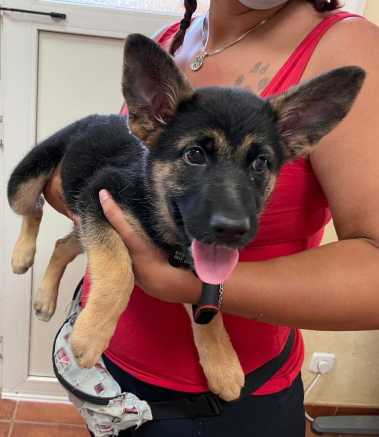 multimedia-foto73709-63-1