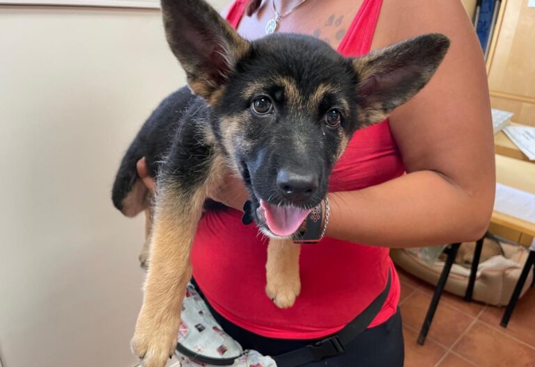 multimedia-foto73710-63-1