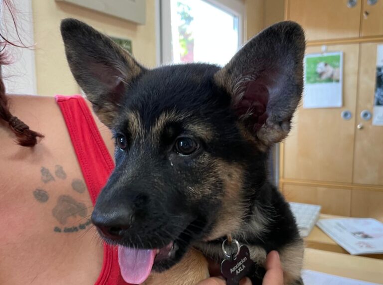 multimedia-foto73711-63-1