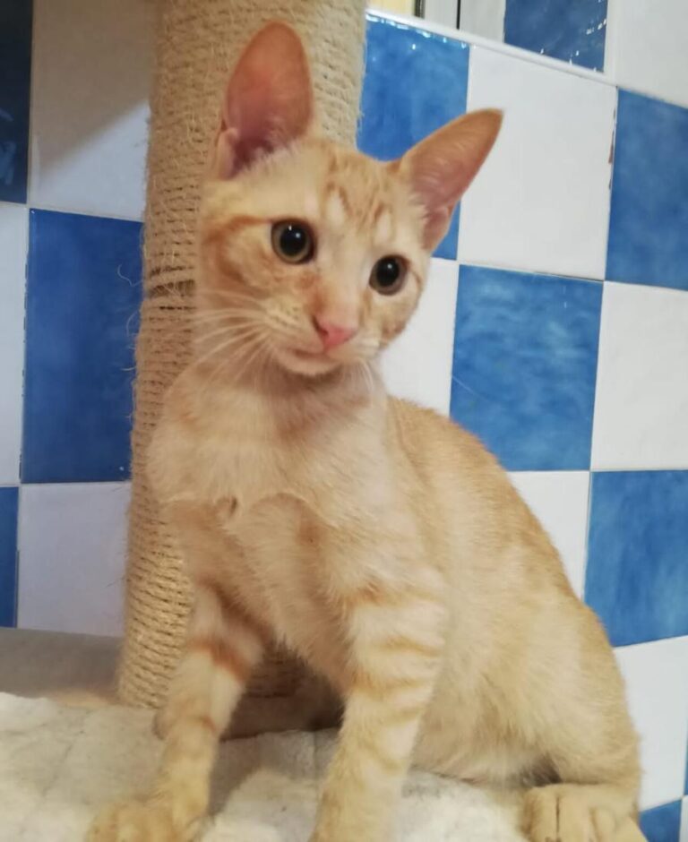 multimedia-foto73712-304-1