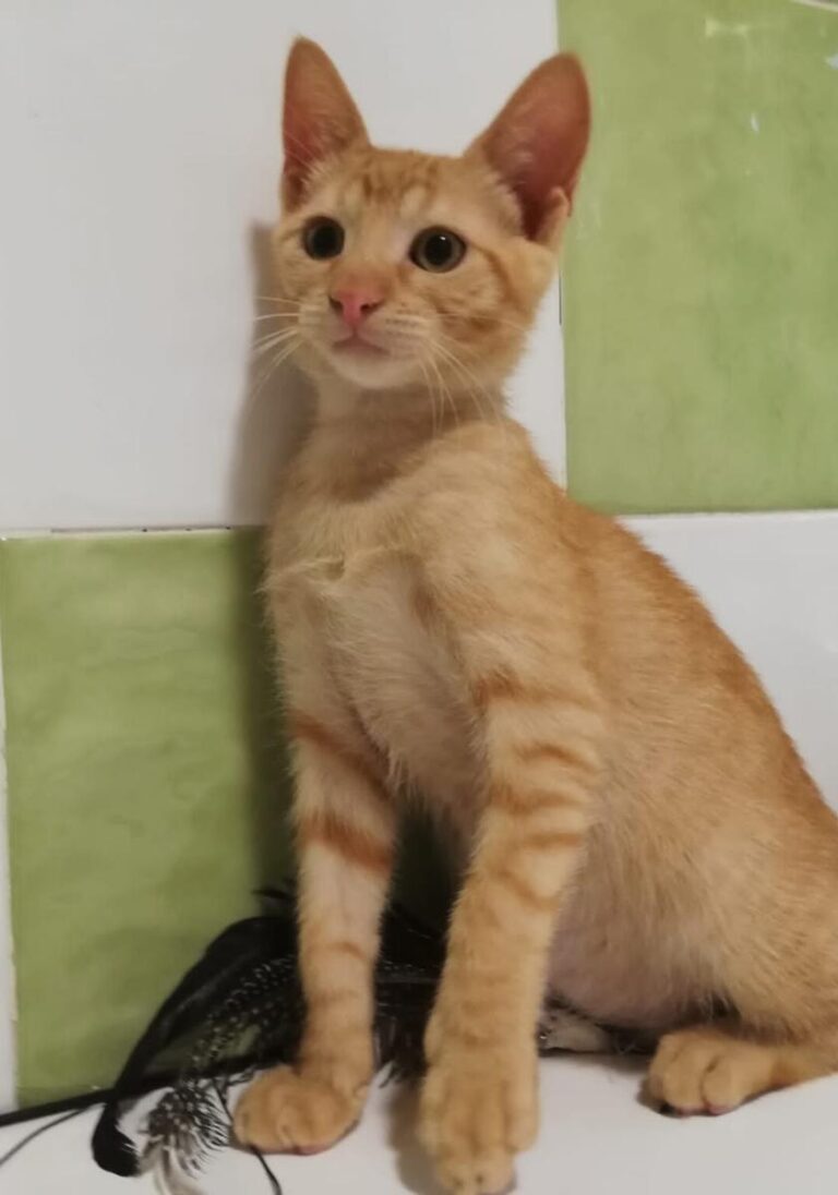 multimedia-foto73713-304-1