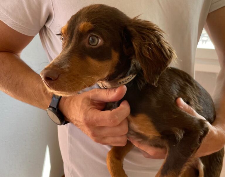 multimedia-foto73749-380-1