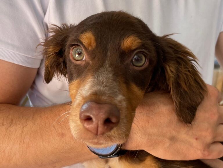 multimedia-foto73750-381-1