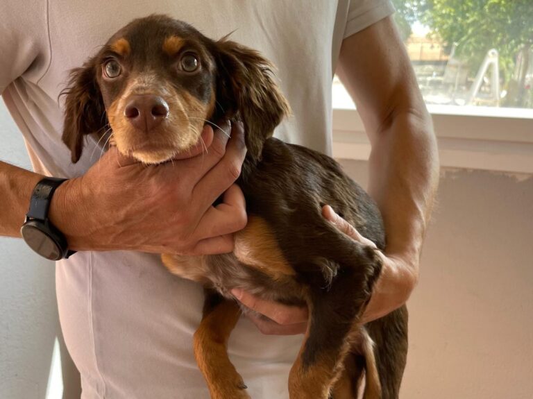 multimedia-foto73751-381-1