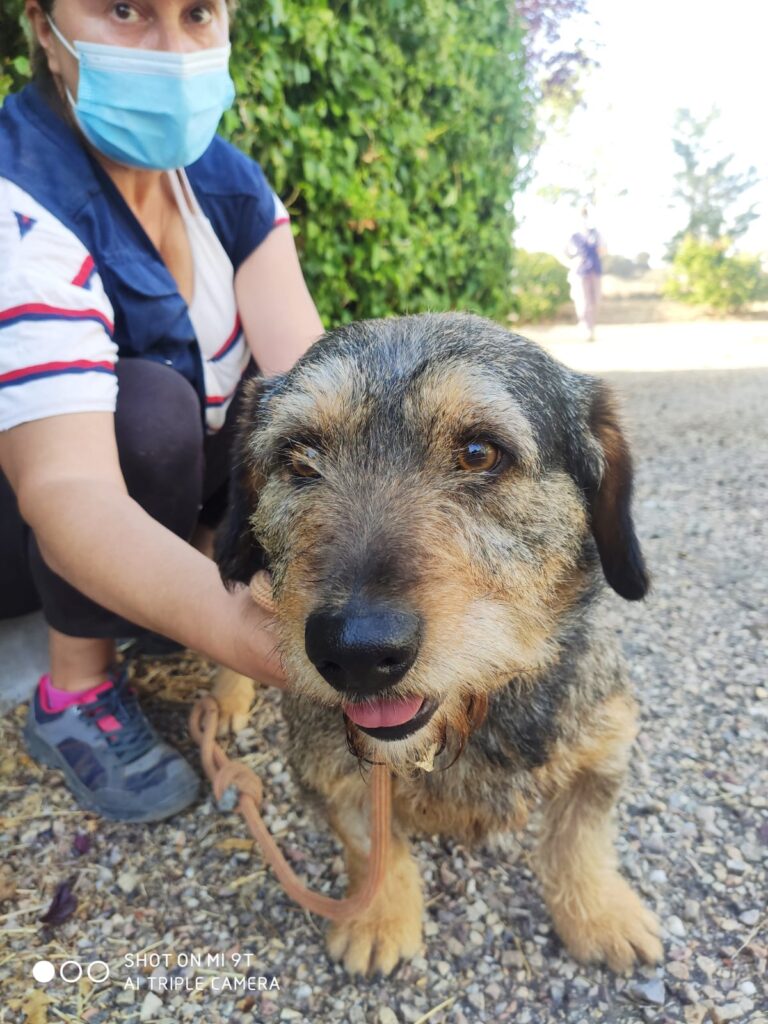 multimedia-foto73763-776-1