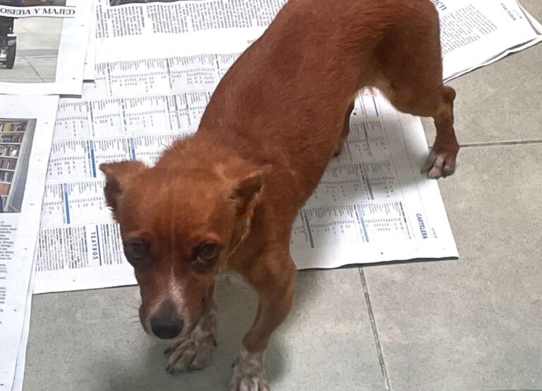 multimedia-foto73766-986-1