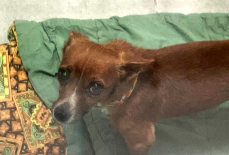 multimedia-foto73767-986-1