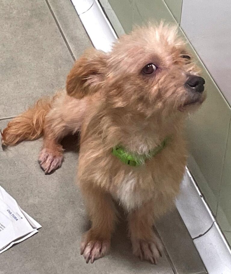 multimedia-foto73768-21-1