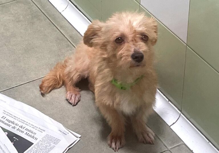 multimedia-foto73769-21-1