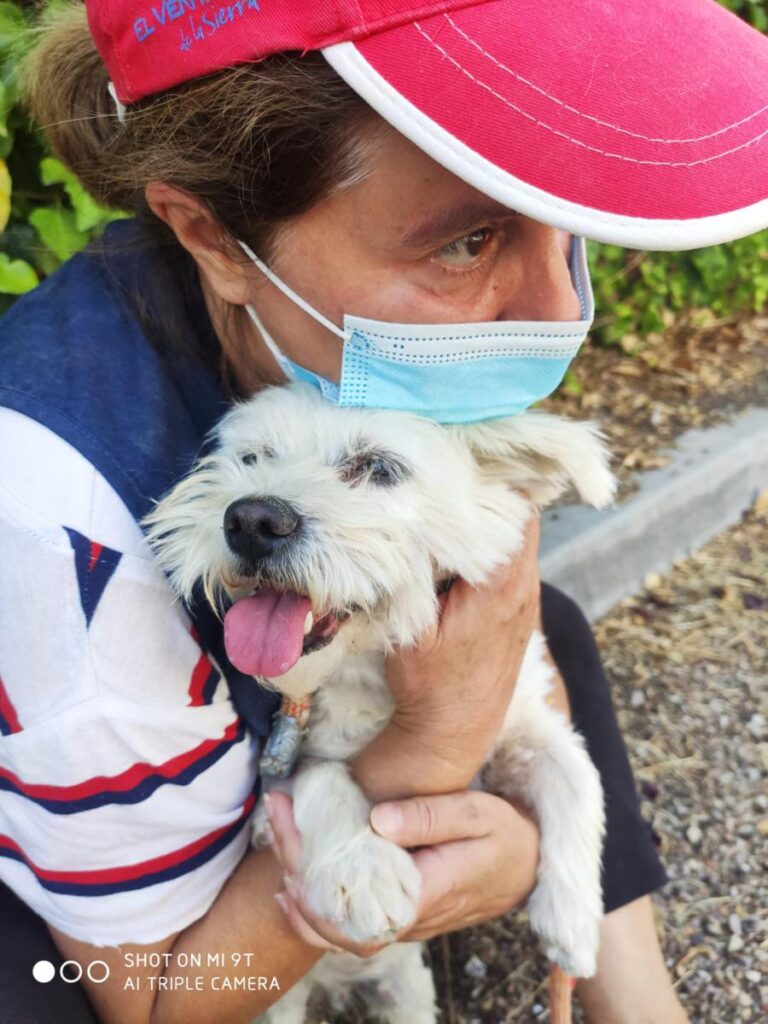 multimedia-foto73776-956-1