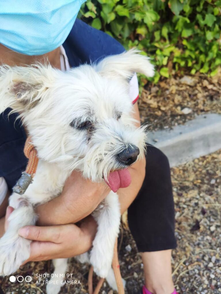 multimedia-foto73777-957-1