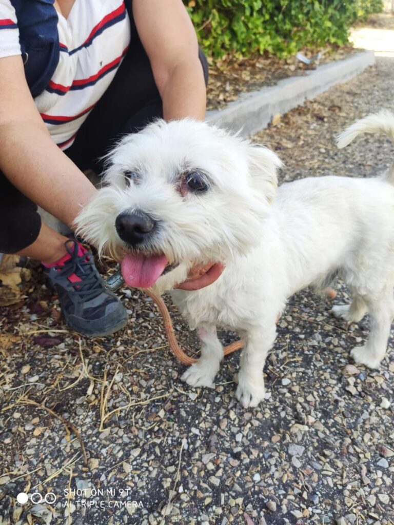 multimedia-foto73778-957-1