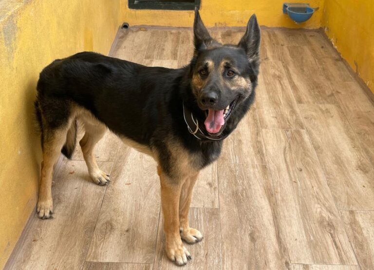 multimedia-foto73780-100-1