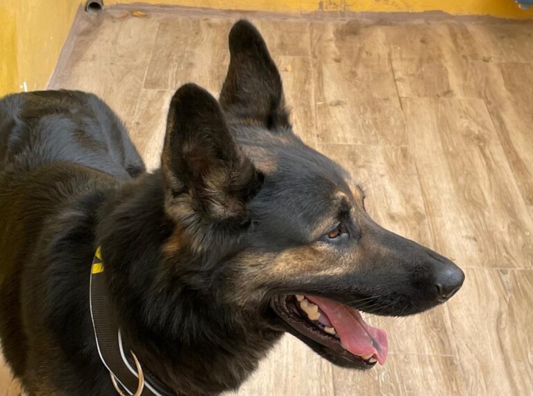 multimedia-foto73781-100-1