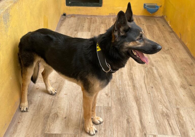 multimedia-foto73782-101-1