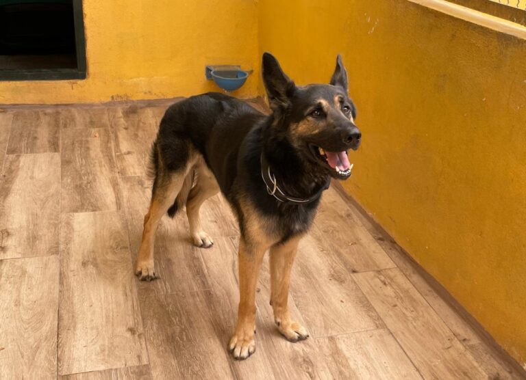 multimedia-foto73783-101-1