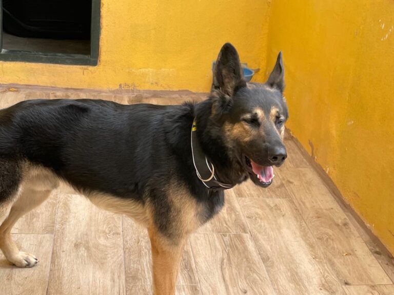 multimedia-foto73785-101-1