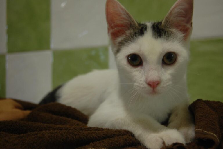 multimedia-foto73804-805-1