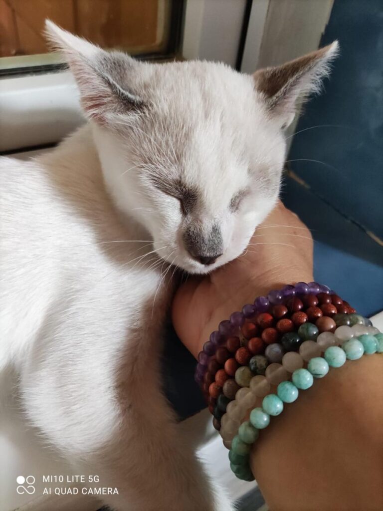 multimedia-foto73833-25-1