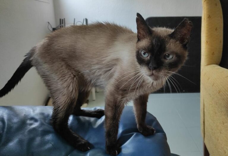 multimedia-foto73839-672-1