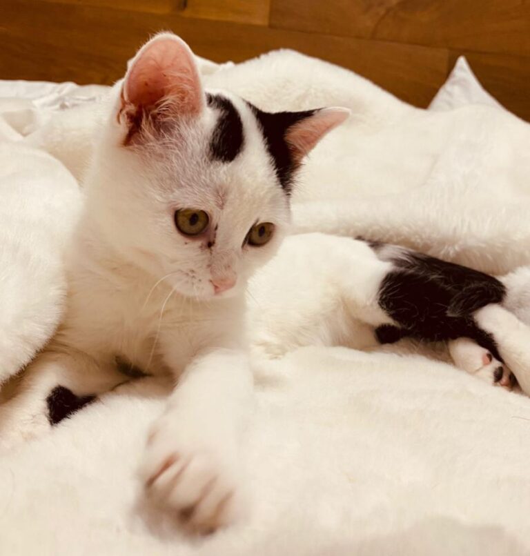 multimedia-foto73929-257-1