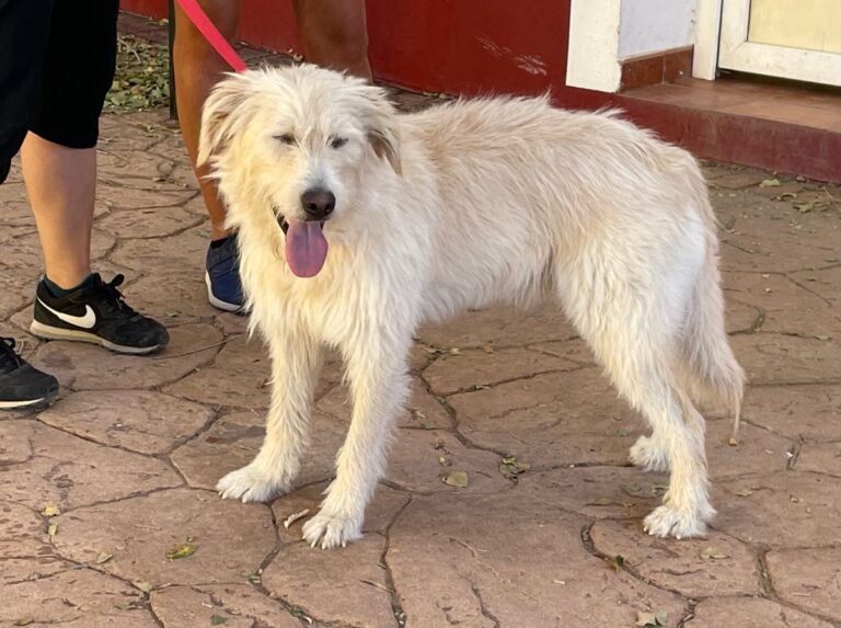 multimedia-foto73939-541-1