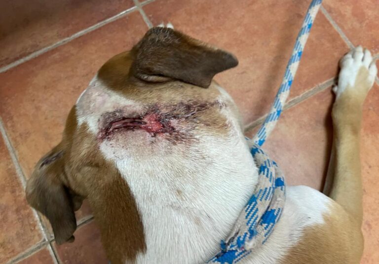 multimedia-foto73961-579-1