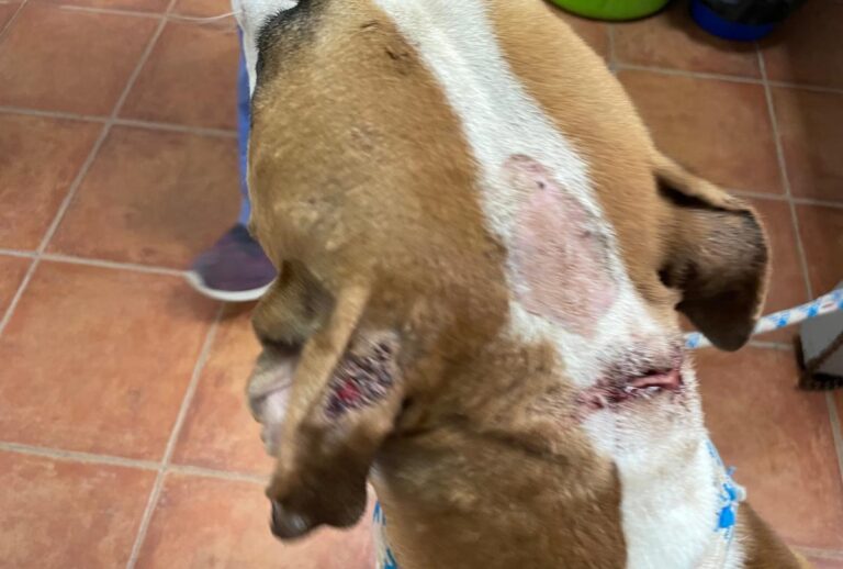 multimedia-foto73962-579-1