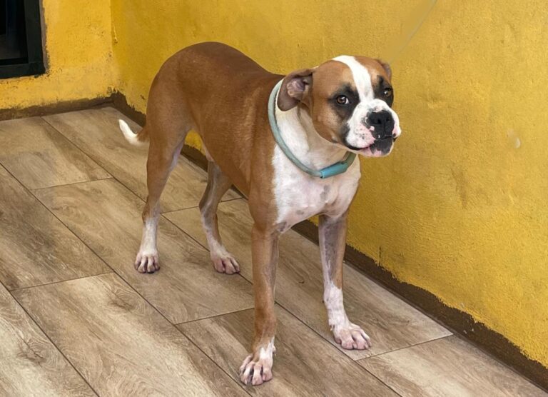 multimedia-foto73963-580-1