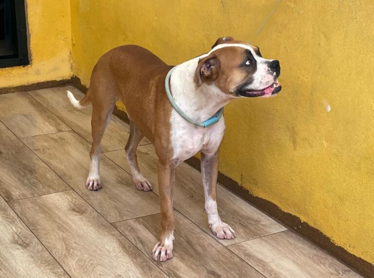 multimedia-foto73964-580-1