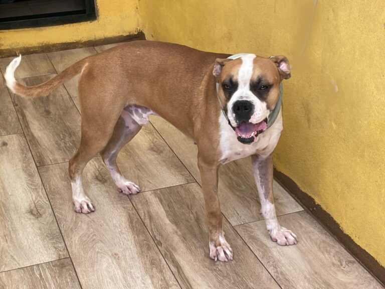 multimedia-foto73965-580-1