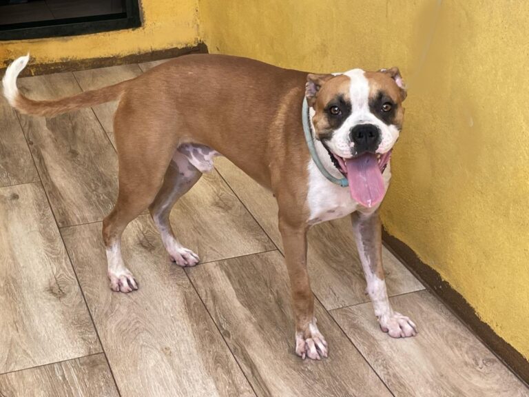 multimedia-foto73966-580-1