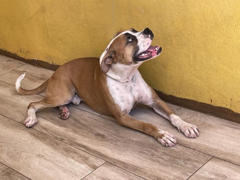 multimedia-foto73967-580-1