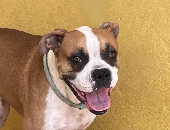 multimedia-foto73969-581-1