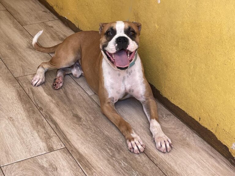 multimedia-foto73970-581-1