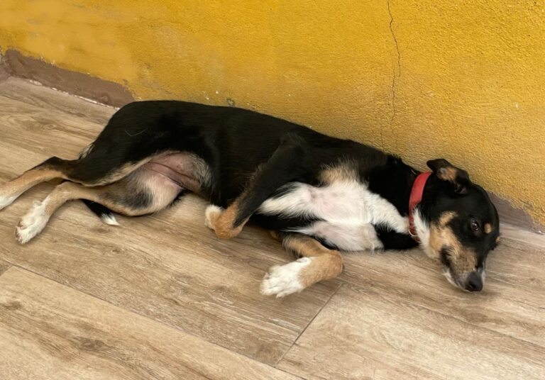 multimedia-foto73971-148-1