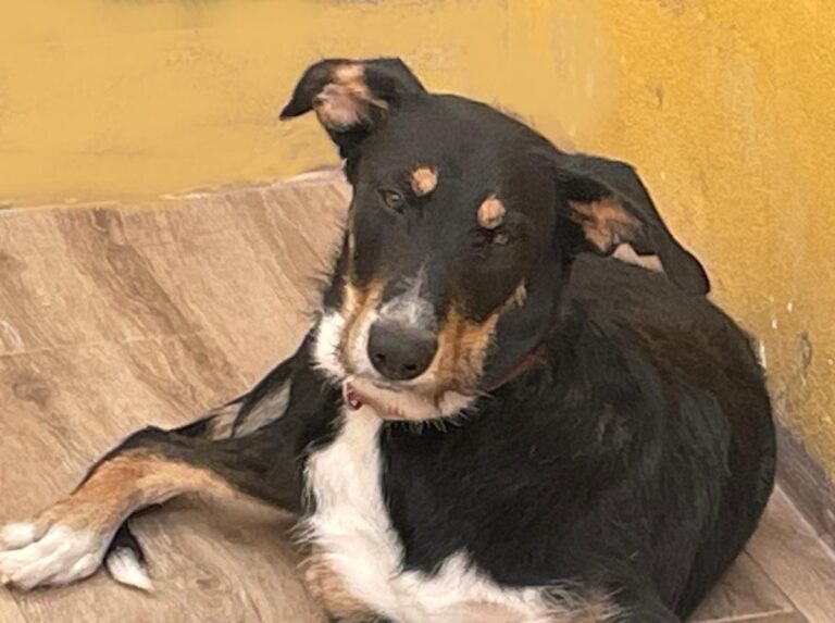 multimedia-foto73973-148-1