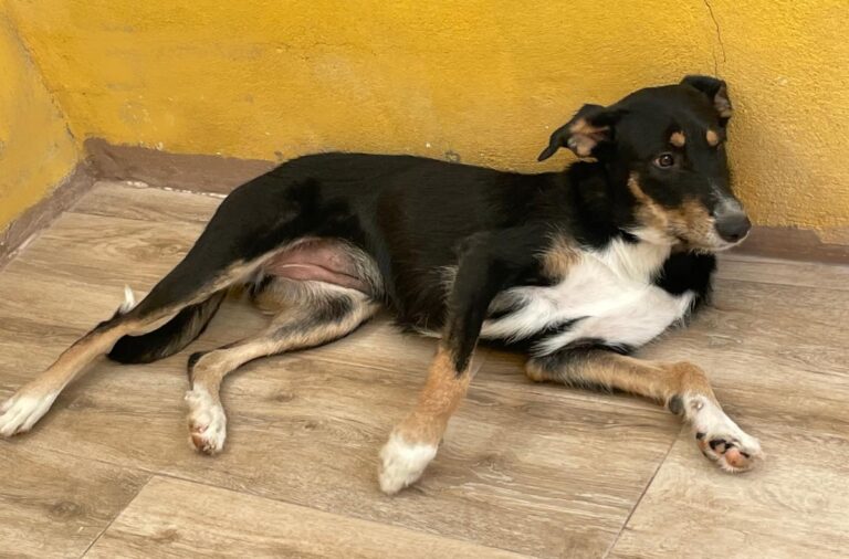 multimedia-foto73974-149-1