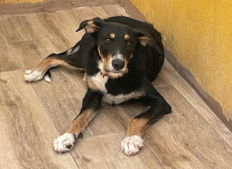 multimedia-foto73975-149-1