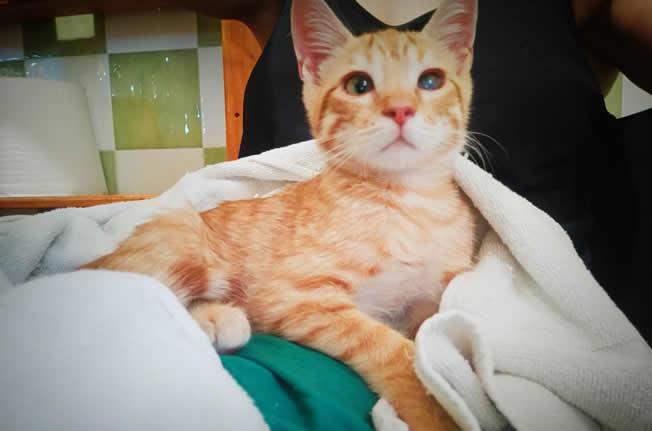 multimedia-foto74016-363-1