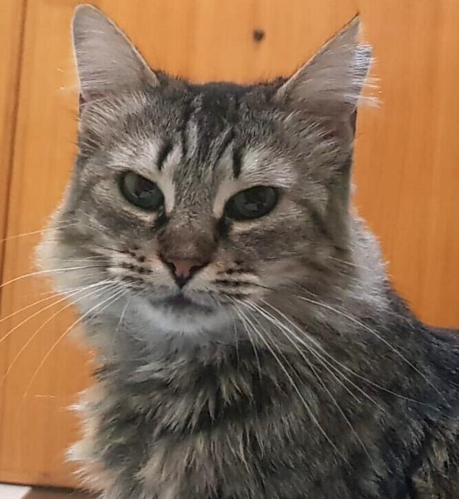 multimedia-foto74059-399-1