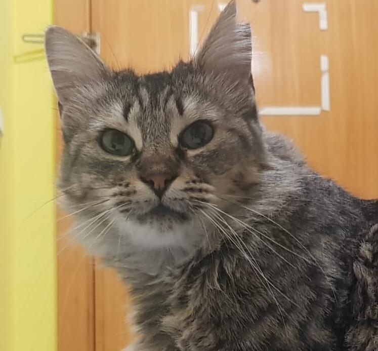 multimedia-foto74060-399-1