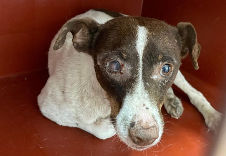 multimedia-foto74075-388-1