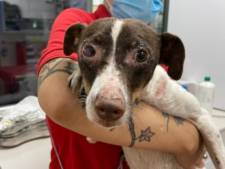 multimedia-foto74076-388-1