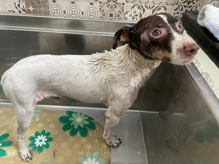 multimedia-foto74077-388-1