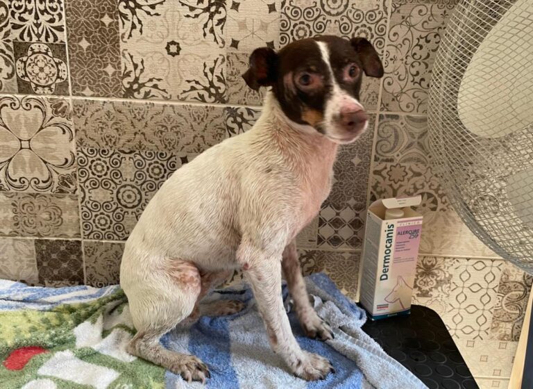 multimedia-foto74078-389-1