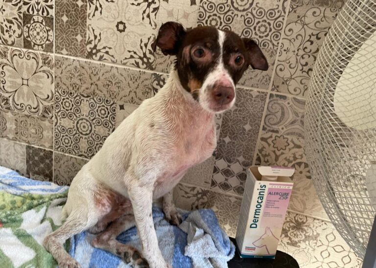 multimedia-foto74079-389-1